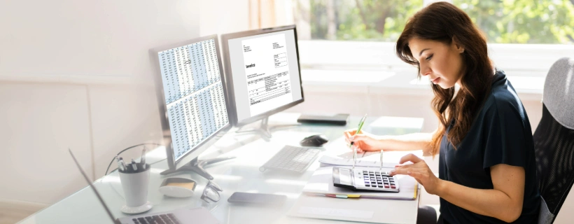 Accountancy professionals at work
