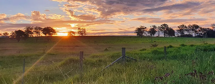 a field in the sunset somewhere in regional New South Wales 