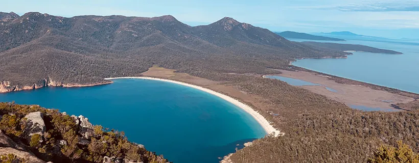 a forest and a beach in Tasmania